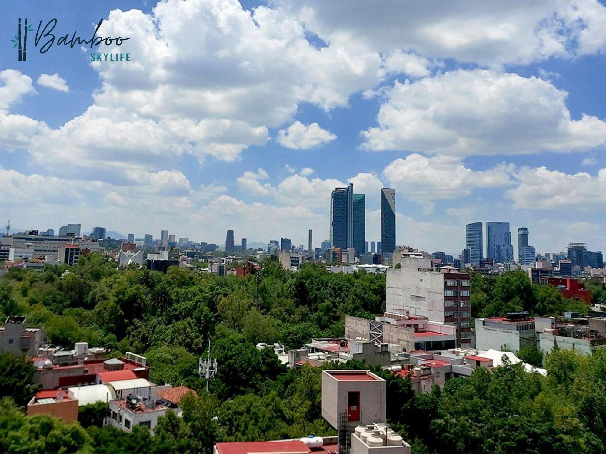 Amazing City Views Condesa Roma By Bamboo Skylife Meksika Dış mekan fotoğraf